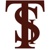 Technical Solutions Inc. Logotype