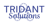 Tridant Solutions Logotype
