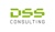 DSS Consulting Logotype