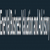 EnerVal Business Valuation and Advisory Logotype
