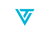 Virtual Team Logotype