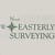North Easterly Surveying, Inc Logotype