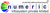 Numeric Infosystem Pvt Ltd Logotype