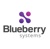 Blueberry Systems Logotype