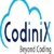 Codinix Technologies inc Logotype
