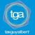 TaxGuyAlbert, Inc. Logotype