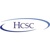 Hamilton Consulting Solutions Logotype