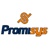 Promisys IT Logotype