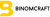 Binomcraft company Logotype