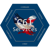C6I Services Corp Logotype