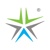 Pioneer One Consulting LLP Logotype