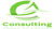 Consulting Group of America, LLC Logotype