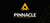 Pinnacle Design Agency Logotype