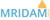 MRIDAM DIGITAL Logotype