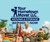 Your Hometown Mover Logotype