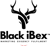 Black iBex Logotype
