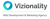 Vizionality Logotype