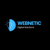 Webnetic Digital Solutions Logotype