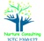 Nurture Business and Investment Consulting Logotype