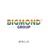 BIGMOND GROUP Logotype