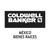 Coldwell Banker Mexico Logotype