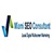 Miami SEO Consultant Logotype