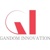 Gandom Innovation DMCC Logotype