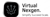 Virtual Nexgen Solutions Logotype