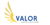 Valor Centric Solutions, LLC Logotype
