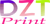 DZT PRINT Logotype