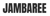 Jambaree Logotype