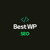 Best Wp SEO Logotype