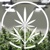 Next Big Crop Logotype