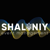 Shaleniy Crazy & Wow Events Logotype