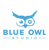 Blue Owl Studio Logotype