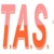 Transporter Auto Services Logotype