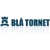 Blå Tornet Systems AB Logotype