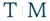 Thames Markey, P.A. Logotype