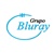 Grupo Bluray Logotype