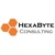 HexaByte Consulting Logotype