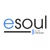 e-soul srl Logotype