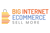Big Internet Seller Services Inc Logotype
