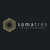 Somatres Logotype