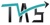 Trinican Accounting Services Logotype