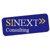 SINEXT Consulting Logotype