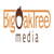 Big Oak Tree Media Logotype