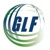Global Logistics and Fulfillment LLC Logotype