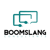 Boomslang Consultants Limited Logotype