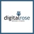 Digital Rose Design Studio Logotype