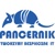 Pancernik IT Logotype